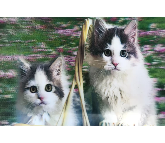 Needion - 5D Elmas Boyama Sevimli Kediler İkili Kedi Resmi Tablosu 40x60 cm