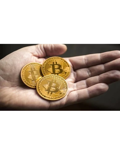 Needion - BitCoin Madeni Hediyelik Coin Sanal Para
