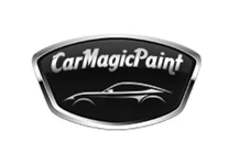 Needion - CAR MAGIC PAINT