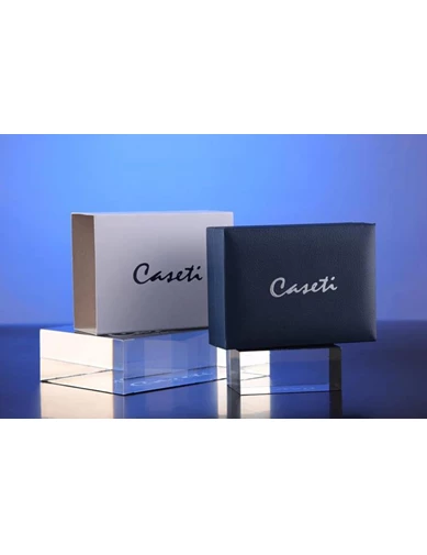 Needion - Caseti Mat Mavi-Gümüş Çakmak CA0504002