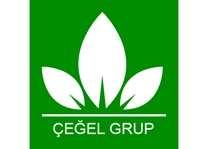 Needion - Çeğel Grup