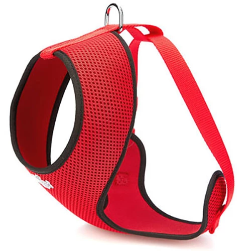 Doggie Havali Dokumadan El Yapimi Kucuk Irk Kopek Gogus Tasmasi Red Fiyat Ve Ozellikleri Needion