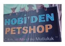 Needion - HOBİDEN AKVARYUM