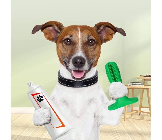 Needion - Köpek Diş Fırçası Diş Temizleme Oyuncağı Büyük Boy