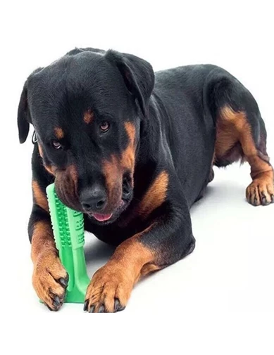 Needion - Köpek Diş Fırçası Isırma Aparatı Büyük Boy