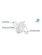 Needion - Mamajoo Silikon Ortodontik İkili Emzik Uğur Böceği  / 12 ay +