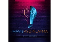 Needion - maviş elektirik