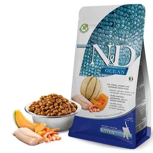 N&amp;D Ocean Morina Karides Balkabağı Kavun Yavru Kedi Maması Fiyat ve