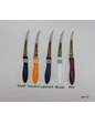 Needion - Penguen Paslanmaz Çelik Lazerli Meyve Domates Bıçağı 6&apos;lı Bıçak Renkli