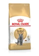 Needion - Royal Canin British Shorthair Adult Yetişkin Kedi Maması 400 Gr