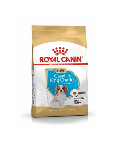 Needion - Royal Canın Cavalier King Charles Puppy Yavru Köpek Maması