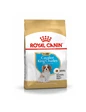Needion - Royal Canın Cavalier King Charles Puppy Yavru Köpek Maması 1,5 kg