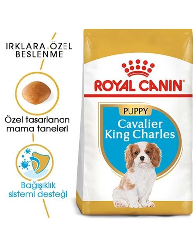 Needion - Royal Canın Cavalier King Charles Puppy Yavru Köpek Maması