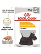 Needion - Royal Canin Ccn Dermacomfort Loaf Adult Yetişkin Köpek Konservesi Pouch 85 gr