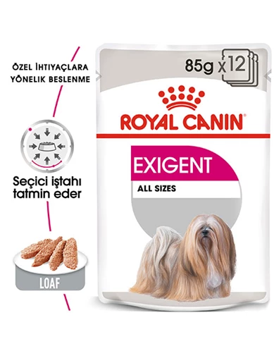 Needion - Royal Canin Ccn Exigent Loaf Adult Yetişkin Köpek Konservesi