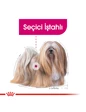 Needion - Royal Canin Ccn Exigent Loaf Adult Yetişkin Köpek Konservesi 85 gr