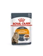 Needion - Royal Canin Intense Beauty Gravy Adult Yetişkin Kedi Konservesi Pouch 85 gr