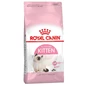 Needion - Royal Canin Kitten Yavru Kedi Maması 4 Kg