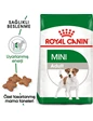 Needion - Royal Canin Mini Adult Küçük Irk Yetişkin Köpek Maması 2 kg