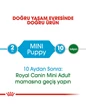 Needion - Royal Canin Mini Puppy Küçük Irk Yavru Köpek Maması 2 kg