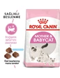 Needion - Royal Canin Mother & Babycat Yavru Kedi Maması 2 kg