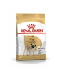 Needion - Royal Canin Pug Adult Yetişkin Köpek Maması 1,5 kg