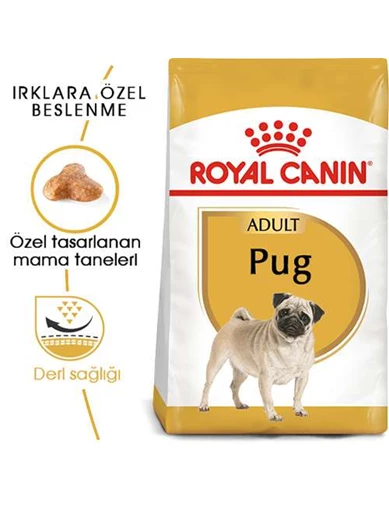Needion - Royal Canin Pug Adult Yetişkin Köpek Maması