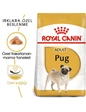 Needion - Royal Canin Pug Adult Yetişkin Köpek Maması 1,5 kg
