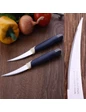 Needion - Tramontina Lazer Tırtıklı Kısa Kıvrık Bıçak Domates Et Bıçağı 23512/213 Renkli