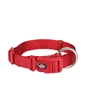 Needion - Trixie Kırmızı Köpek Boyun Tasması 25-40 cm-15 mm-S