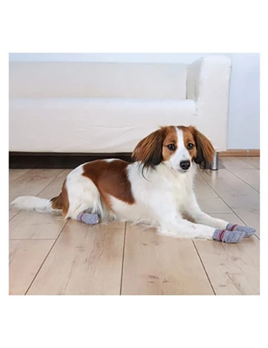 Needion - Trixie Köpek Çorabı