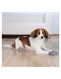 Needion - Trixie Köpek Çorabı M-L
