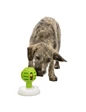 Needion - Trixie Köpek Ödül Maması Oyuncağı, Yere Sabitlenebilir 12 cm