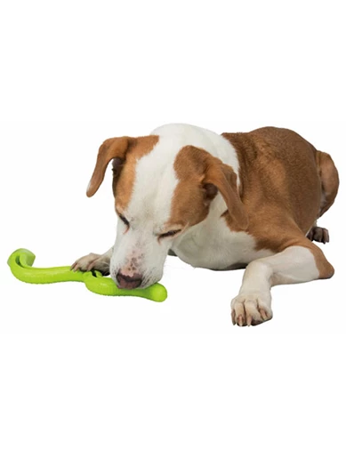 Needion - Trixie Köpek Ödül Oyuncağı, Yeşil Yılan, Tpr