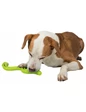 Needion - Trixie Köpek Ödül Oyuncağı, Yeşil Yılan, Tpr 42 cm