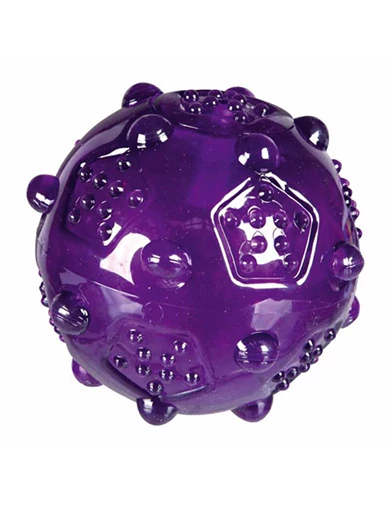 Needion - Trixie Köpek Oyuncağı Termoplastik Oyun Topu